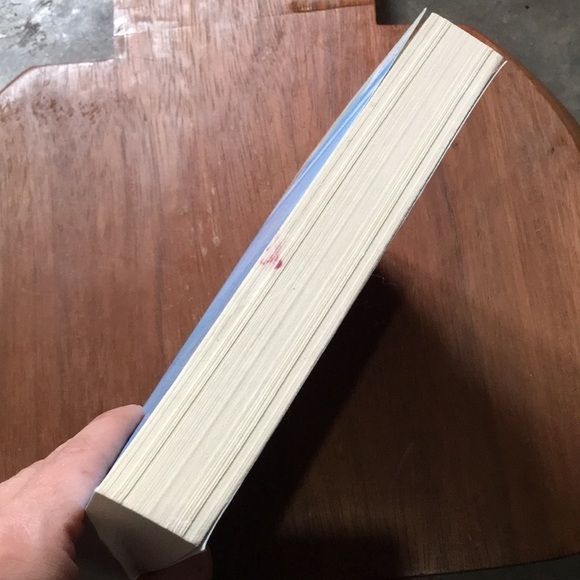 Summer with my sisters by Holly Chamberlin book - Picture 3 of 5